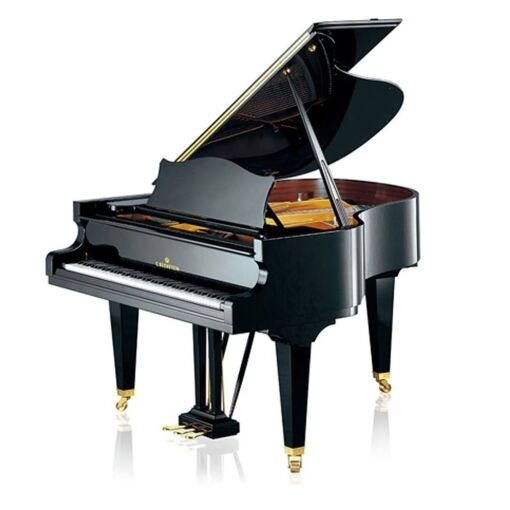 C. Bechstein L 167