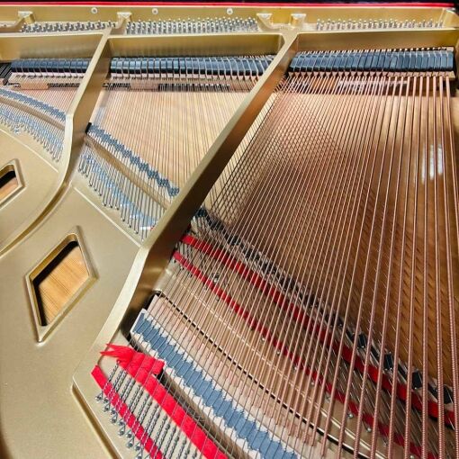 Boston GP156 Strings