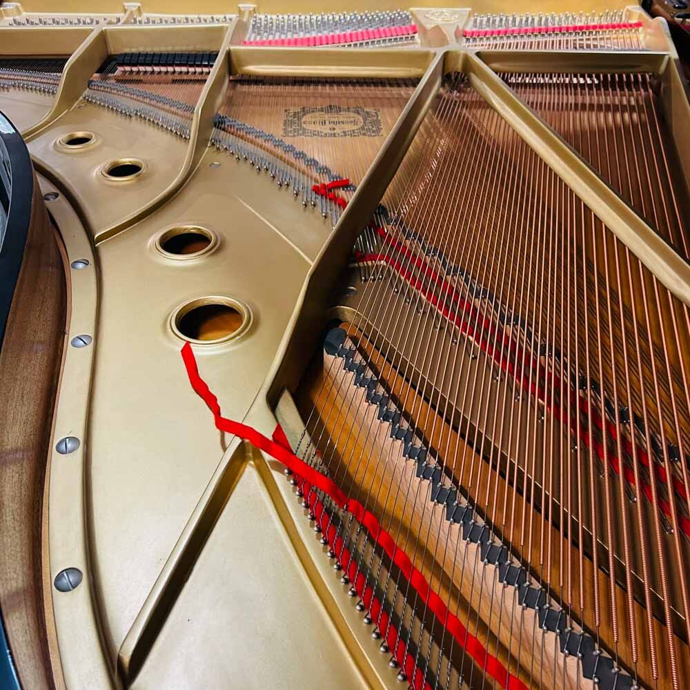 Yamaha C5 Grand Piano Strings