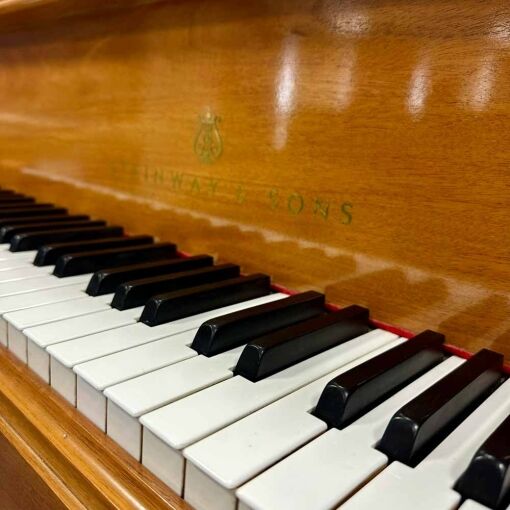 Steinway M Grand Piano Front Logo