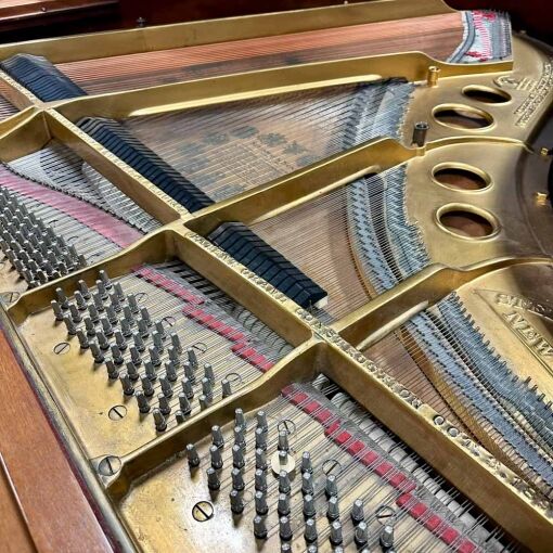 Steinway M Grand Piano Soundboard