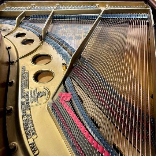 Steinway M Grand Piano Strings