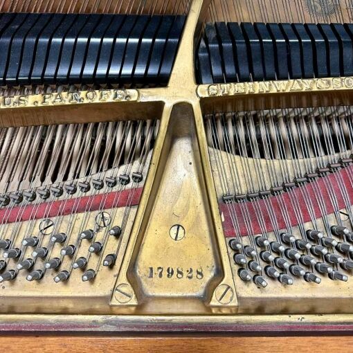 Steinway M Grand Piano Serial Number