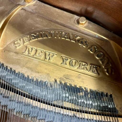 Steinway M Grand Piano Logo Inside