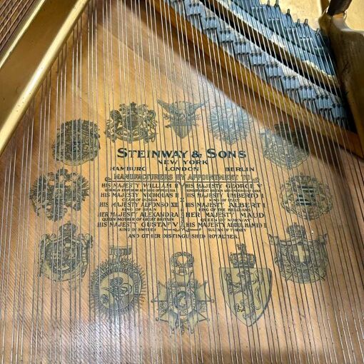 Steinway M Grand Piano Logo Inside