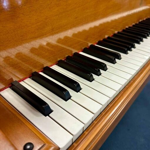 Steinway M Grand Piano Keys Left Angle