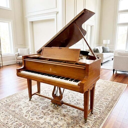 Steinway M Grand Piano Room Placement