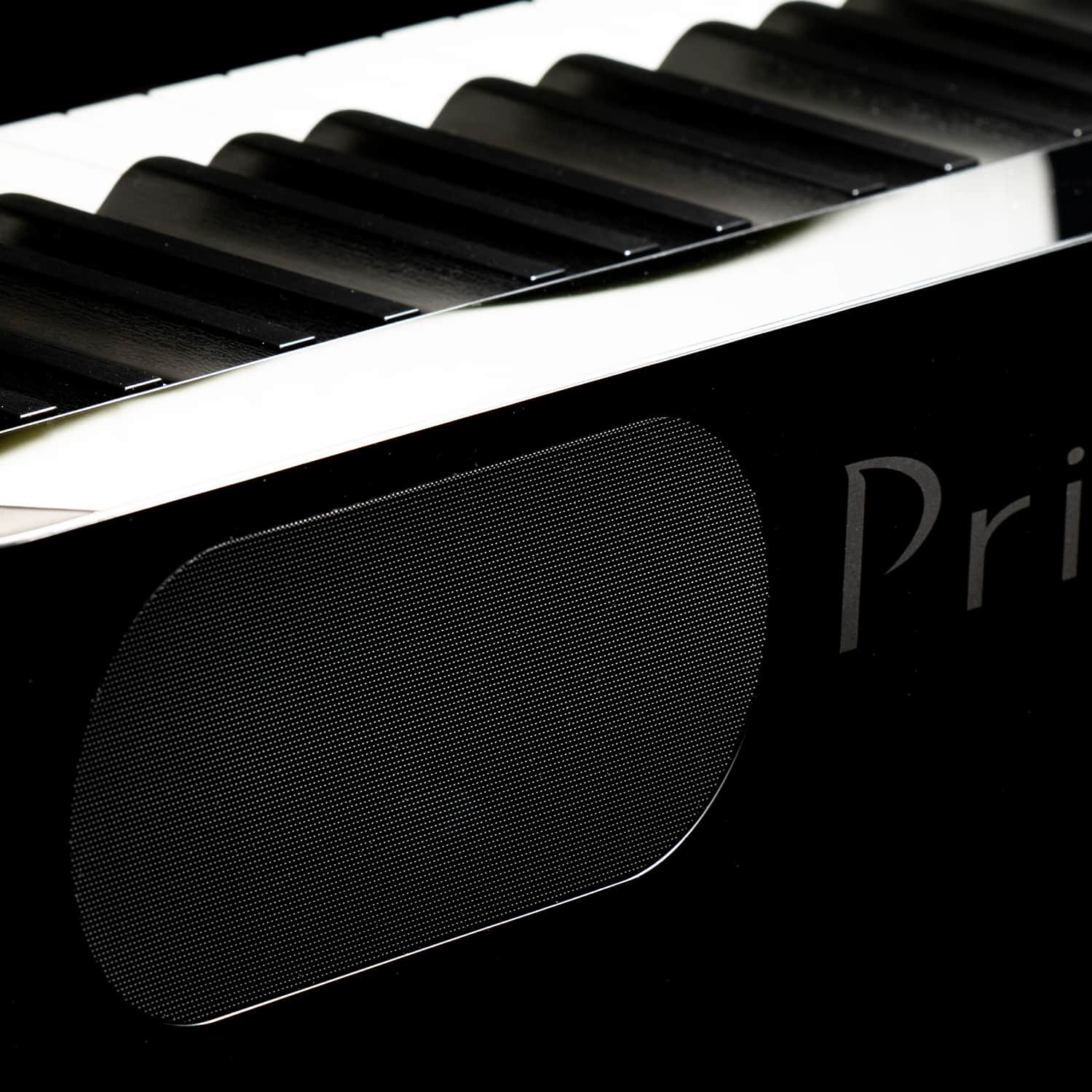 Casio PX-S1000 Speaker