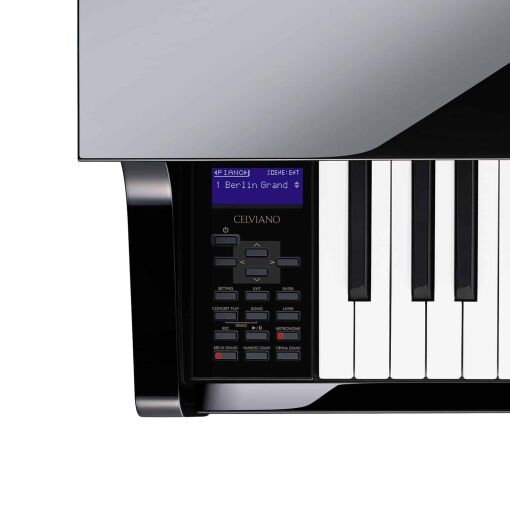 Casio GP-510 Display