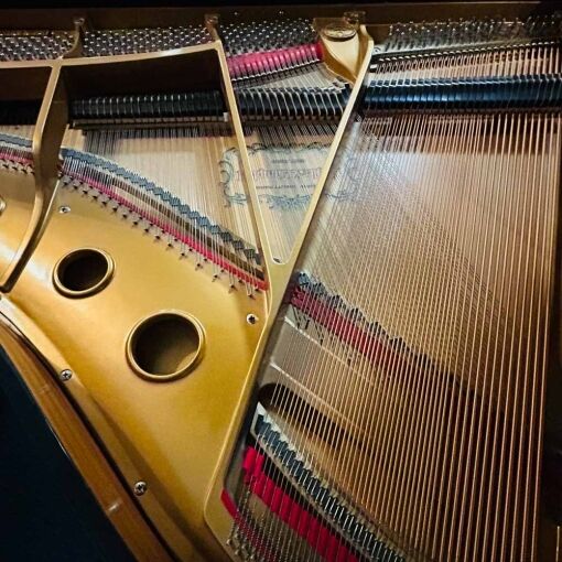Kohler and Campbell KCG500D Grand Piano Strings