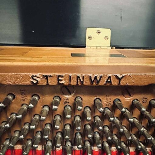 Steinway 45 Upright Piano Logo Inside